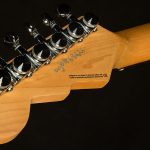 Wildwood-Exclusive Spy