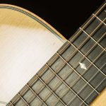 2016 Froggy Bottom Guitars H-14 Deluxe Rosewood