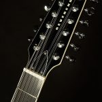 Wildwood-Exclusive Airwave 12-String