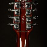 Wildwood-Exclusive Airwave 12-String
