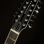 Wildwood-Exclusive Airwave 12-String