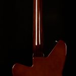 Wildwood-Exclusive Airwave 12-String