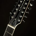 Wildwood-Exclusive Airwave 12-String