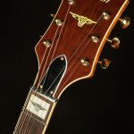 G6120T-55 Vintage Select Edition 