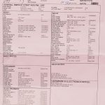 Wildwood 10 1961 Stratocaster - NOS