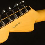 American Professional Classic Stratocaster