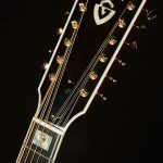 F-512E Rosewood - Antique Burst