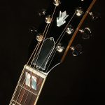 Modern Collection Hummingbird Standard EC