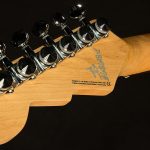 Wildwood-Exclusive Spy