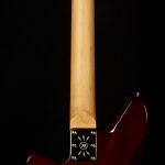 Wildwood-Exclusive Spy