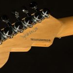 Wildwood-Exclusive Spy