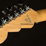 Wildwood-Exclusive Spy