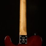 Wildwood-Exclusive Pete Anderson Eastsider T P-90