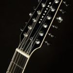 Wildwood-Exclusive Airwave 12-String