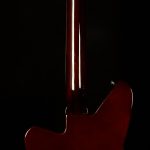 Wildwood-Exclusive Airwave 12-String