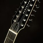 Wildwood-Exclusive Airwave 12-String