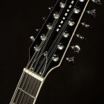 Wildwood-Exclusive Airwave 12-String