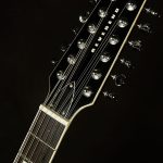 Wildwood-Exclusive Airwave 12-String