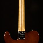 2017 Fender Limited Edition Malaysian Blackwood P-90 Telecaster