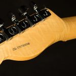 2017 Fender Limited Edition Malaysian Blackwood P-90 Telecaster