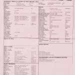 Wildwood 10 1961 Stratocaster - Closet Classic