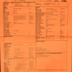 Wildwood 10 1961 Stratocaster - Closet Classic