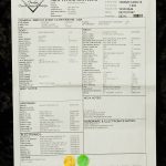 Wildwood 10 1961 Stratocaster - Closet Classic