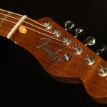 Wildwood 10 1951 Nocaster - Closet Classic