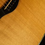 2004 Taylor Guitars 30th Anniversary XXX-MS -  #138 of 250