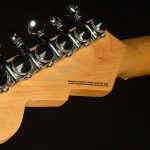 Wildwood-Exclusive Spy