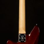 Wildwood-Exclusive Spy