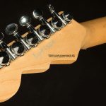 Wildwood-Exclusive Spy