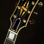 Wildwood Spec 1959 ES-355 Reissue - Gloss