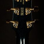 Gretsch G6228TG Player