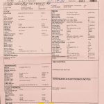 Sean Hurley Signature 1961 Precision Bass - Closet Classic